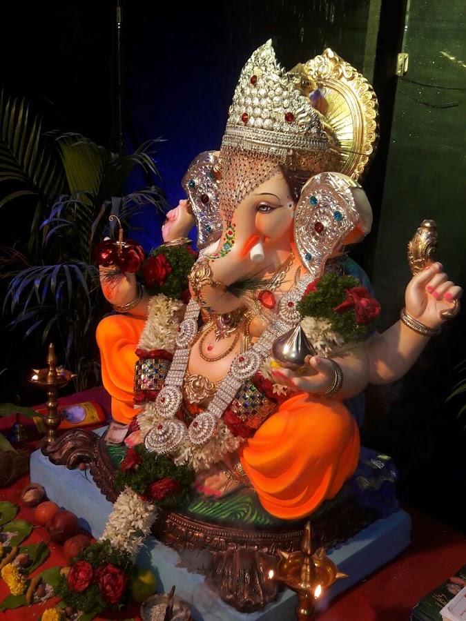 Janata Raja Prathisthan